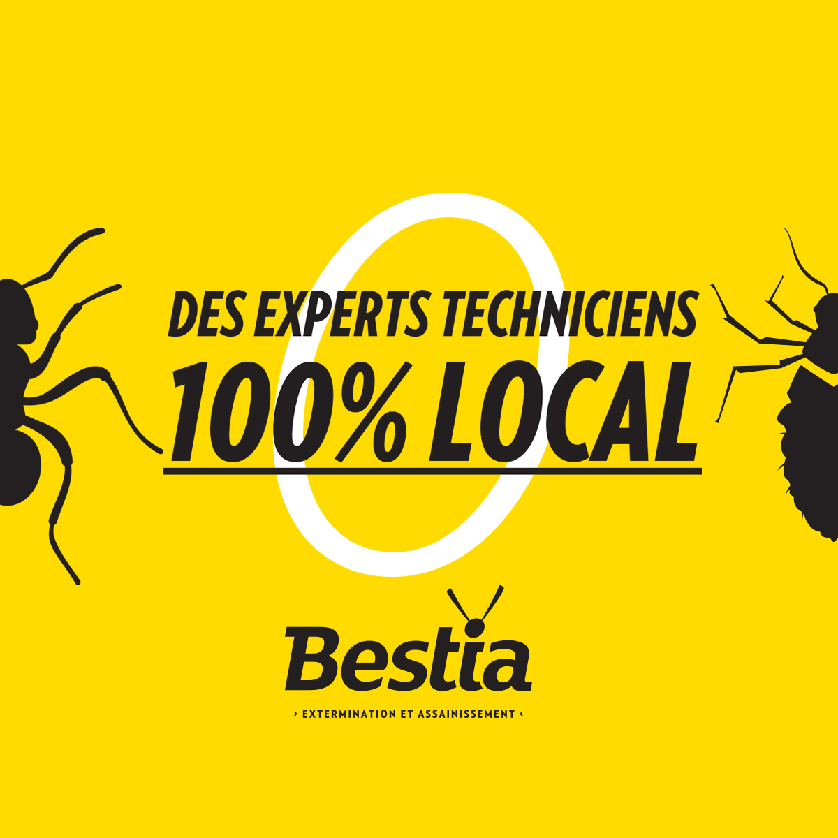 Bestia Extermination | Exterminateur Lévis photo 3