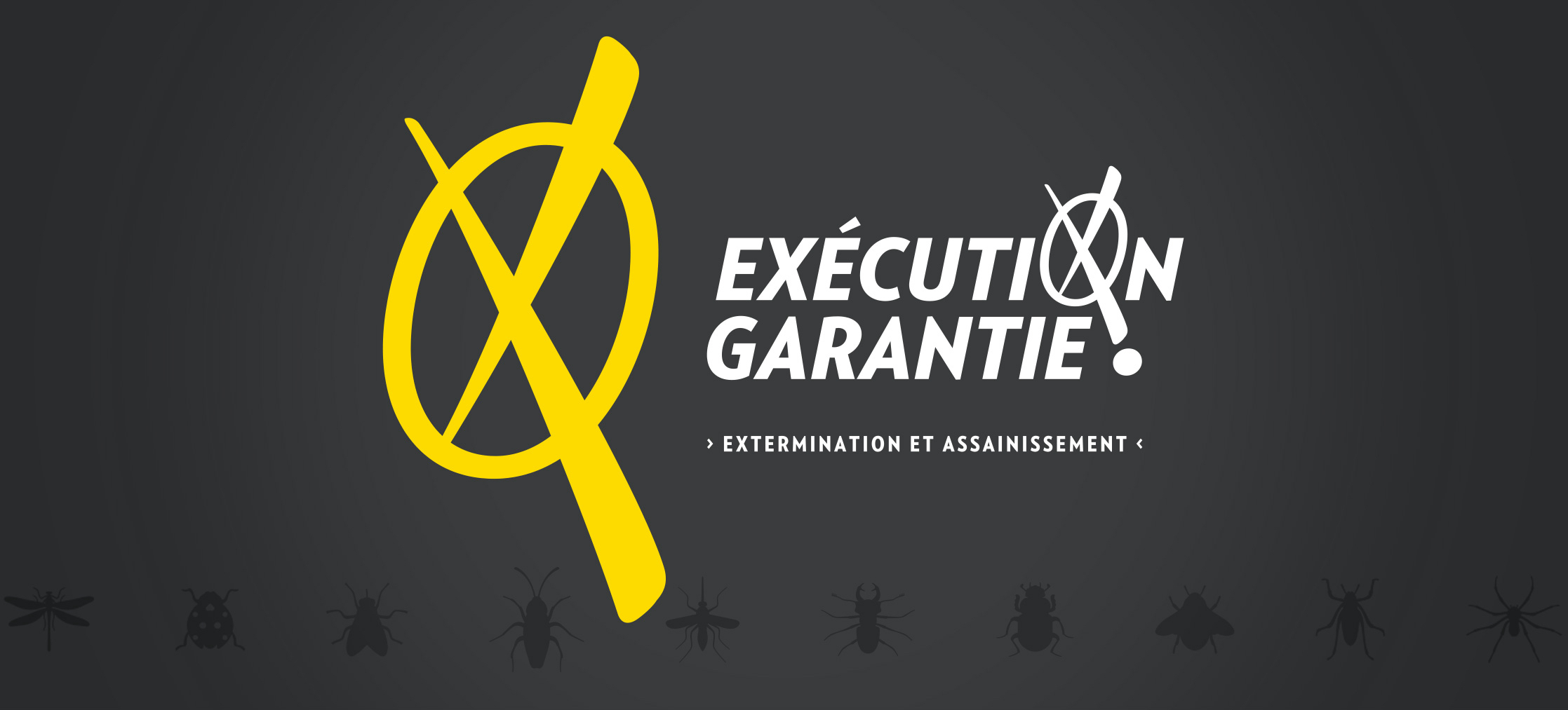 Bestia Extermination | Exterminateur Lévis photo 2