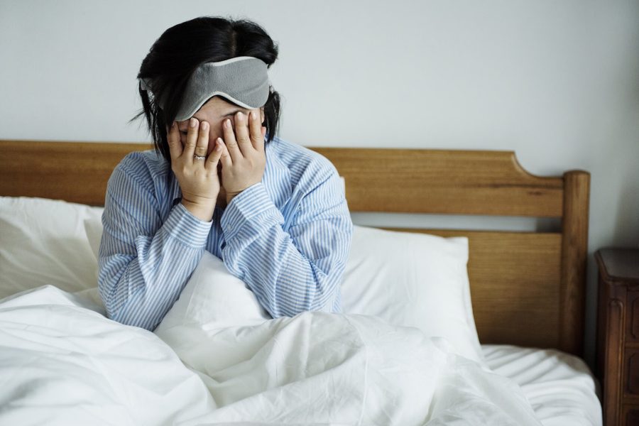 Traitement thermique punaise de lit prix