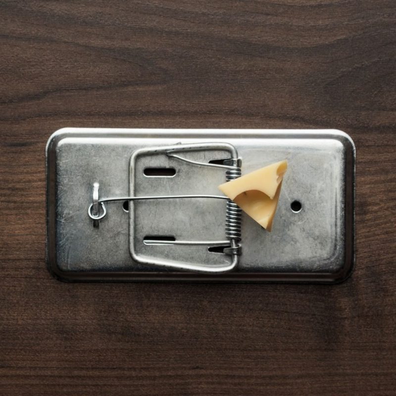 Comment exterminer des souris dans une maison