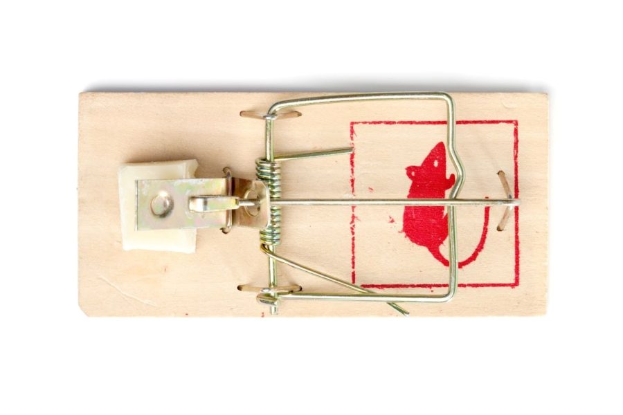 Comment attraper souris maison